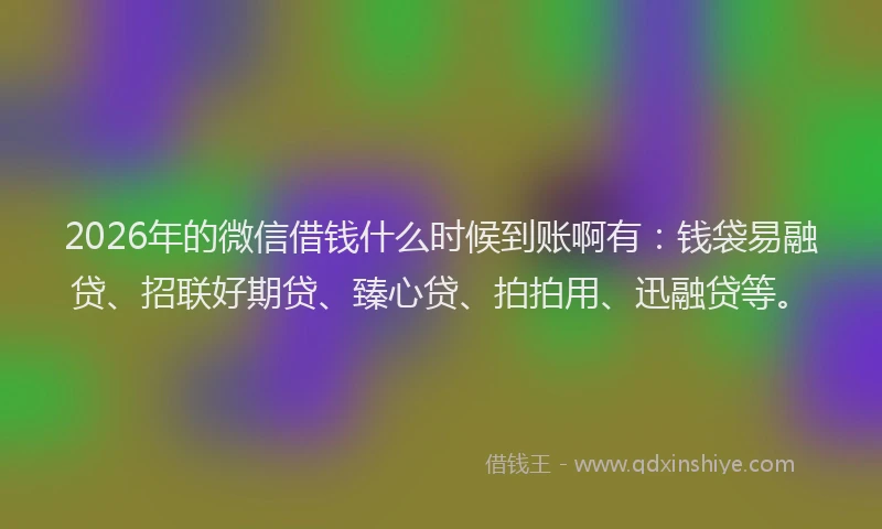 2026年的微信借钱什么时候到账啊有：钱袋易融贷、招联好期贷、臻心贷、拍拍用、迅融贷等。