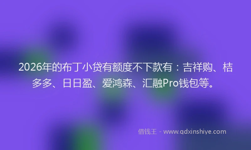 2026年的布丁小贷有额度不下款有：吉祥购、桔多多、日日盈、爱鸿森、汇融Pro钱包等。