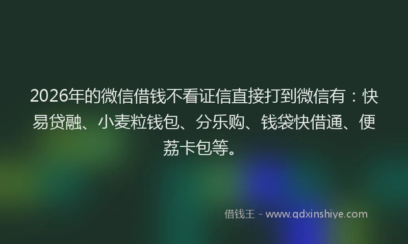 2026年的微信借钱不看证信直接打到微信有：快易贷融、小麦粒钱包、分乐购、钱袋快借通、便荔卡包等。
