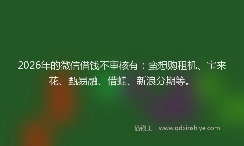 2026年的微信借钱不审核有：蛮想购租机、宝来花、甄易融、借蛙、新浪分期等。