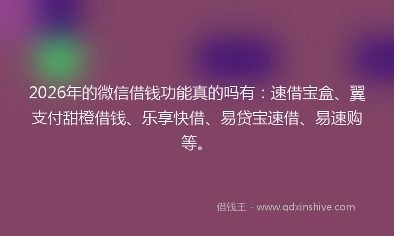 2026年的微信借钱功能真的吗有：速借宝盒、翼支付甜橙借钱、乐享快借、易贷宝速借、易速购等。