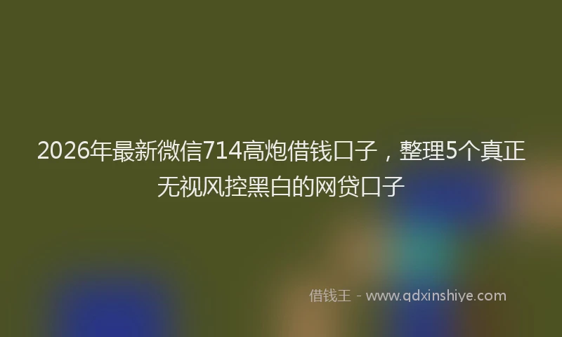 2026年最新微信714高炮借钱口子，整理5个真正无视风控黑白的网贷口子