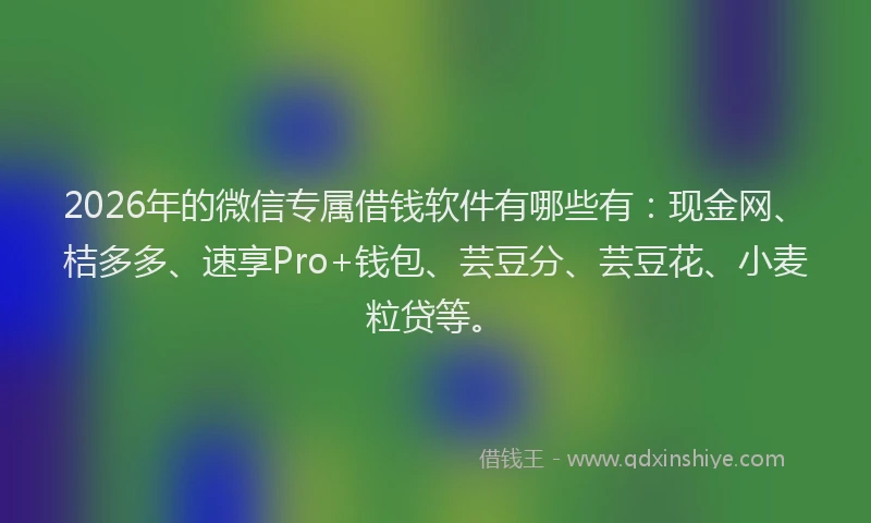 2026年的微信专属借钱软件有哪些有：现金网、桔多多、速享Pro+钱包、芸豆分、芸豆花、小麦粒贷等。