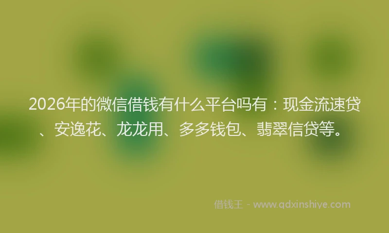 2026年的微信借钱有什么平台吗有：现金流速贷、安逸花、龙龙用、多多钱包、翡翠信贷等。
