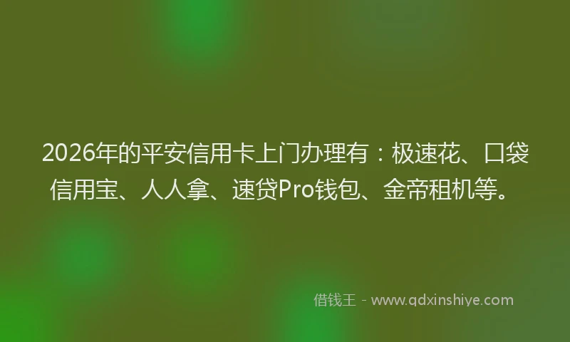 2026年的平安信用卡上门办理有：极速花、口袋信用宝、人人拿、速贷Pro钱包、金帝租机等。