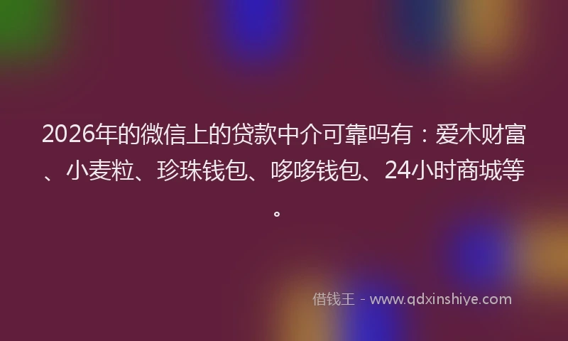 2026年的微信上的贷款中介可靠吗有：爱木财富、小麦粒、珍珠钱包、哆哆钱包、24小时商城等。
