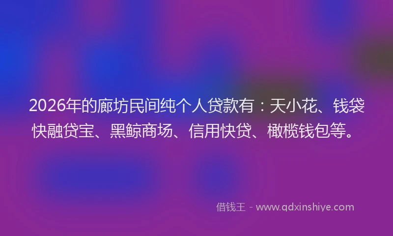 2026年的廊坊民间纯个人贷款有：天小花、钱袋快融贷宝、黑鲸商场、信用快贷、橄榄钱包等。