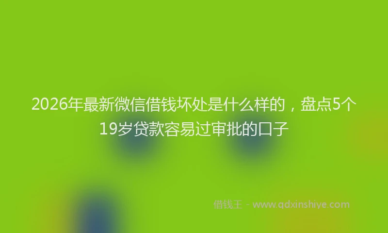 2026年最新微信借钱坏处是什么样的，盘点5个19岁贷款容易过审批的口子