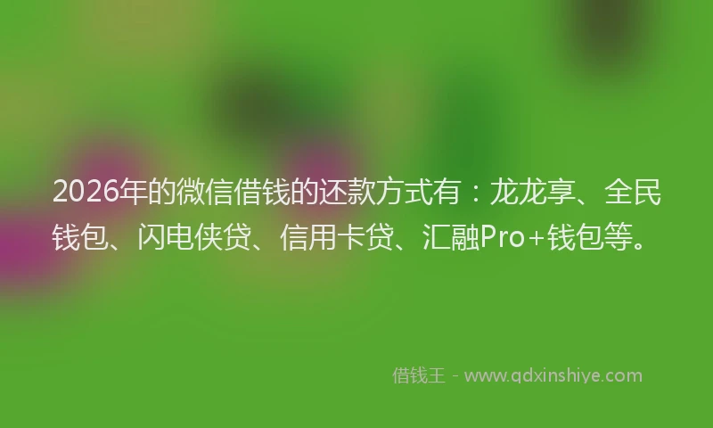 2026年的微信借钱的还款方式有：龙龙享、全民钱包、闪电侠贷、信用卡贷、汇融Pro+钱包等。