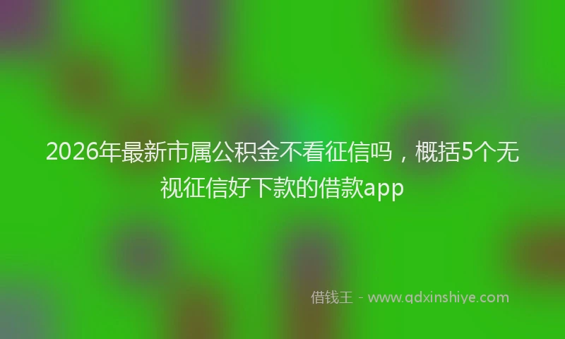2026年最新市属公积金不看征信吗，概括5个无视征信好下款的借款app