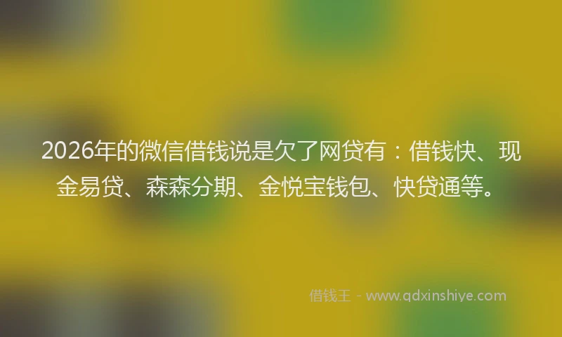 2026年的微信借钱说是欠了网贷有：借钱快、现金易贷、森森分期、金悦宝钱包、快贷通等。