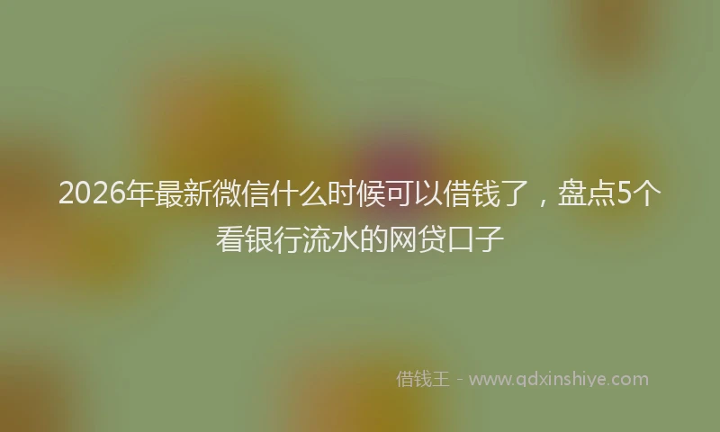 2026年最新微信什么时候可以借钱了，盘点5个看银行流水的网贷口子