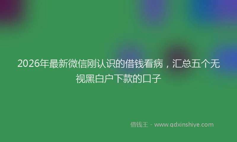 2026年最新微信刚认识的借钱看病，汇总五个无视黑白户下款的口子