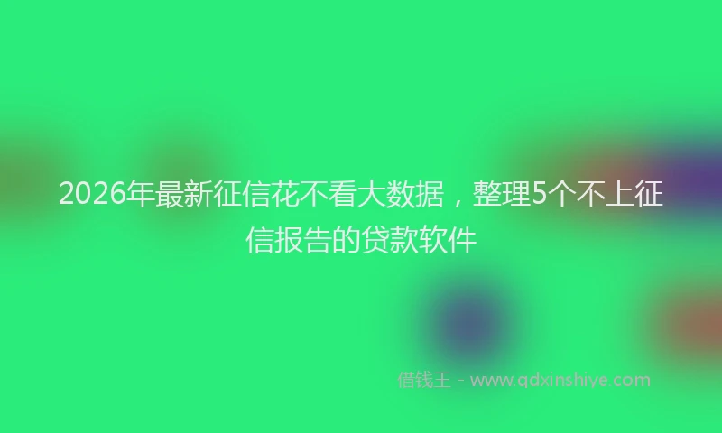 2026年最新征信花不看大数据，整理5个不上征信报告的贷款软件