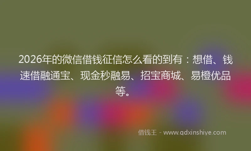 2026年的微信借钱征信怎么看的到有：想借、钱速借融通宝、现金秒融易、招宝商城、易橙优品等。