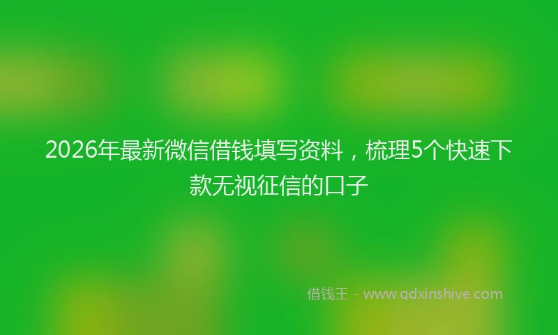 2026年最新微信借钱填写资料，梳理5个快速下款无视征信的口子