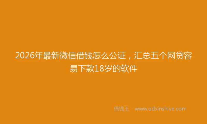 2026年最新微信借钱怎么公证，汇总五个网贷容易下款18岁的软件