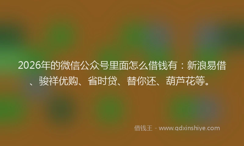2026年的微信公众号里面怎么借钱有：新浪易借、骏祥优购、省时贷、替你还、葫芦花等。