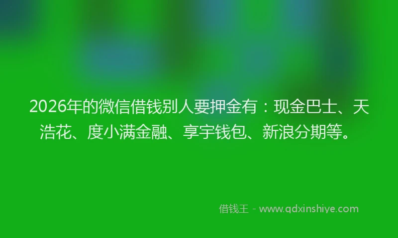 2026年的微信借钱别人要押金有：现金巴士、天浩花、度小满金融、享宇钱包、新浪分期等。