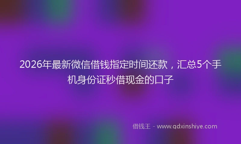 2026年最新微信借钱指定时间还款，汇总5个手机身份证秒借现金的口子