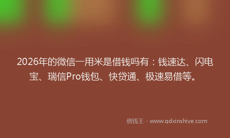 2026年的微信一用米是借钱吗有：钱速达、闪电宝、瑞信Pro钱包、快贷通、极速易借等。