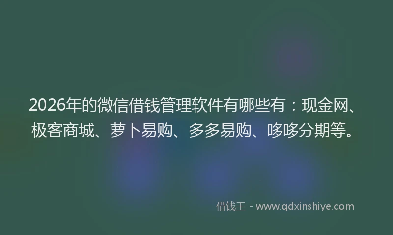2026年的微信借钱管理软件有哪些有：现金网、极客商城、萝卜易购、多多易购、哆哆分期等。
