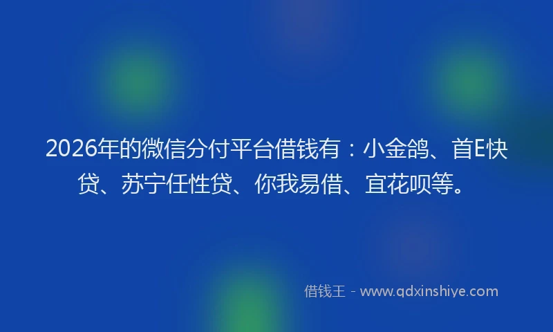 2026年的微信分付平台借钱有：小金鸽、首E快贷、苏宁任性贷、你我易借、宜花呗等。