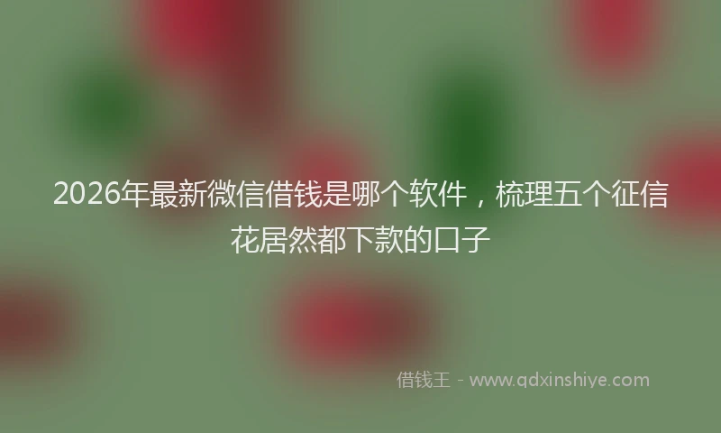 2026年最新微信借钱是哪个软件，梳理五个征信花居然都下款的口子