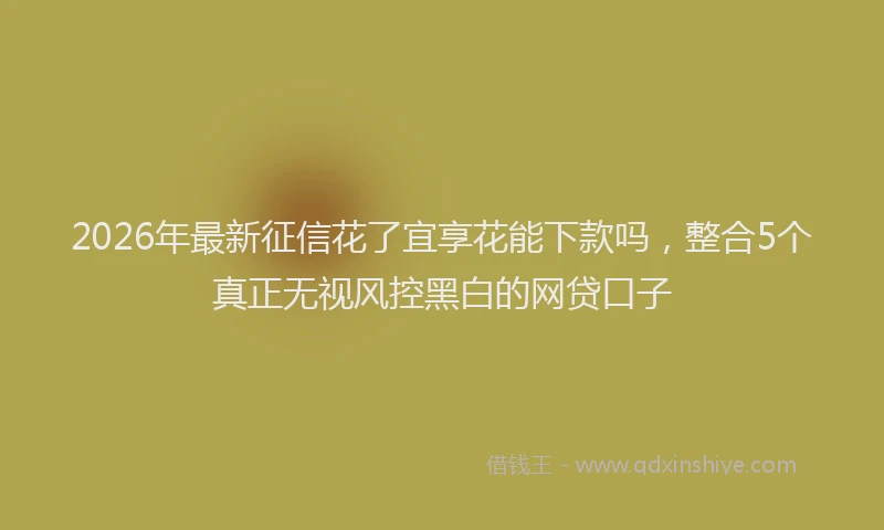 2026年最新征信花了宜享花能下款吗，整合5个真正无视风控黑白的网贷口子