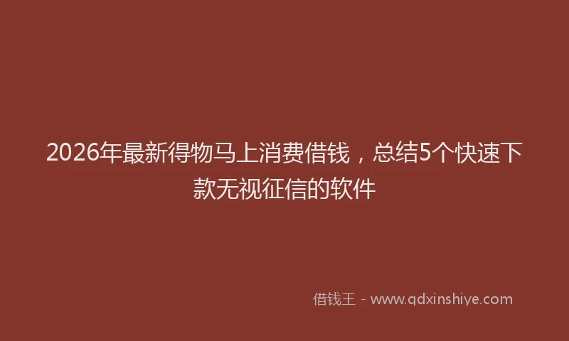 2026年最新得物马上消费借钱，总结5个快速下款无视征信的软件