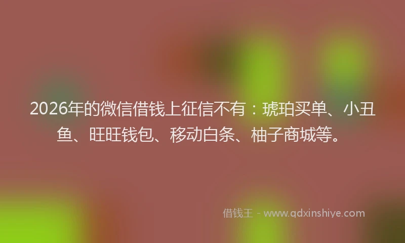 2026年的微信借钱上征信不有：琥珀买单、小丑鱼、旺旺钱包、移动白条、柚子商城等。