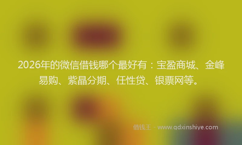 2026年的微信借钱哪个最好有：宝盈商城、金峰易购、紫晶分期、任性贷、银票网等。