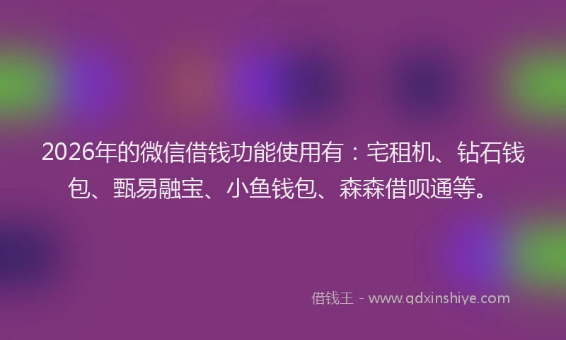 2026年的微信借钱功能使用有：宅租机、钻石钱包、甄易融宝、小鱼钱包、森森借呗通等。