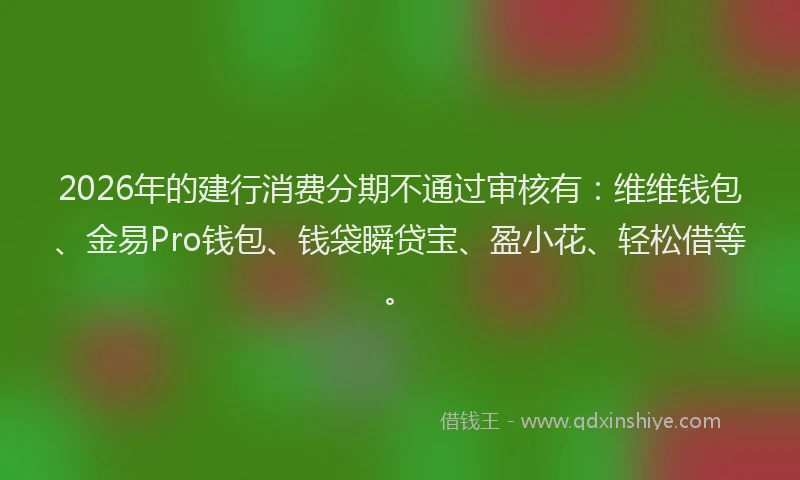 2026年的建行消费分期不通过审核有：维维钱包、金易Pro钱包、钱袋瞬贷宝、盈小花、轻松借等。