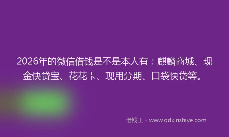 2026年的微信借钱是不是本人有：麒麟商城、现金快贷宝、花花卡、现用分期、口袋快贷等。