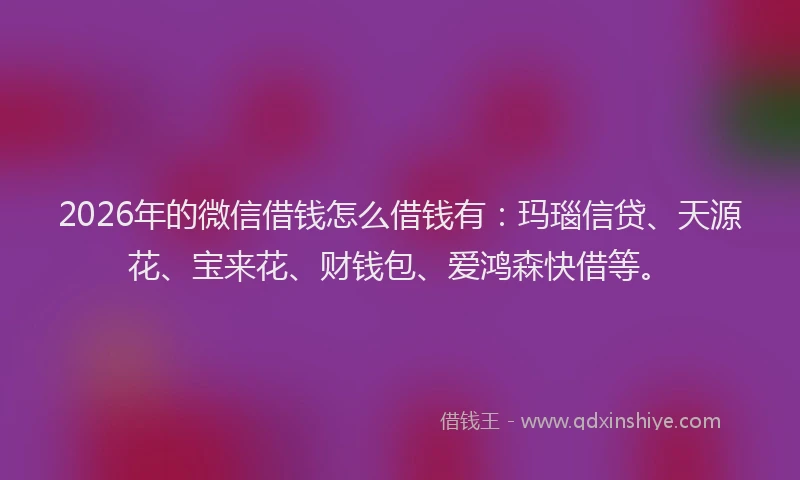 2026年的微信借钱怎么借钱有：玛瑙信贷、天源花、宝来花、财钱包、爱鸿森快借等。