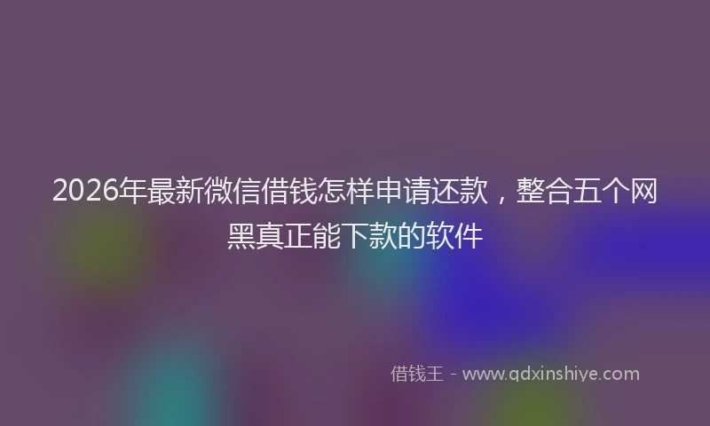 2026年最新微信借钱怎样申请还款，整合五个网黑真正能下款的软件