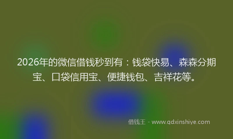 2026年的微信借钱秒到有：钱袋快易、森森分期宝、口袋信用宝、便捷钱包、吉祥花等。