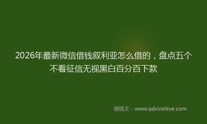 2026年最新微信借钱叙利亚怎么借的，盘点五个不看征信无视黑白百分百下款