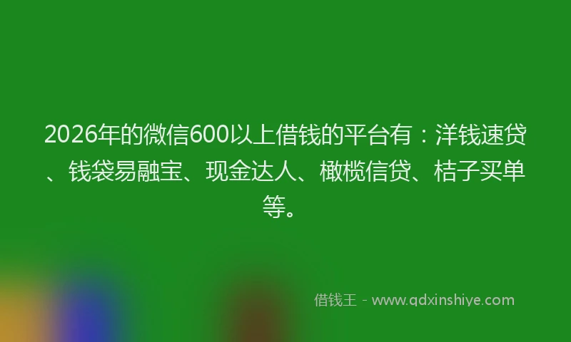 2026年的微信600以上借钱的平台有：洋钱速贷、钱袋易融宝、现金达人、橄榄信贷、桔子买单等。