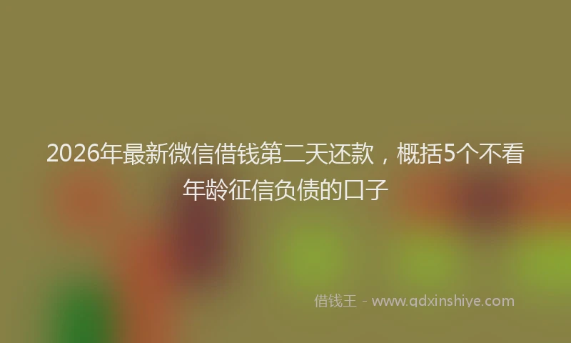2026年最新微信借钱第二天还款，概括5个不看年龄征信负债的口子