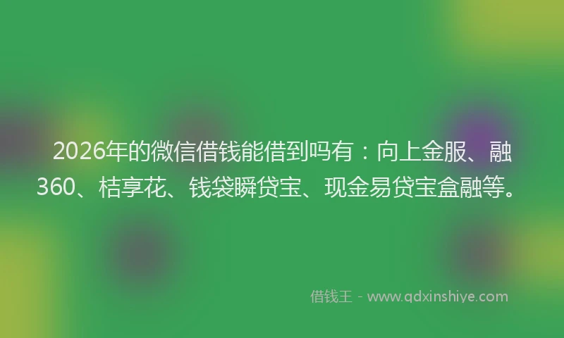 2026年的微信借钱能借到吗有：向上金服、融360、桔享花、钱袋瞬贷宝、现金易贷宝盒融等。