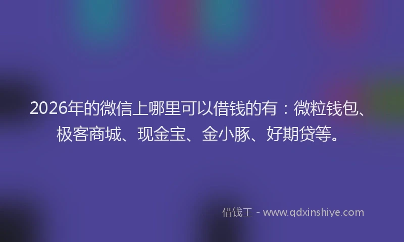 2026年的微信上哪里可以借钱的有：微粒钱包、极客商城、现金宝、金小豚、好期贷等。