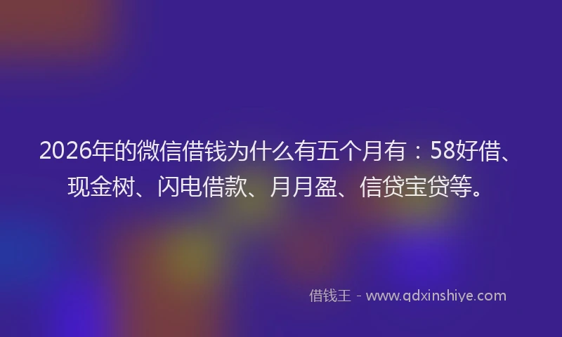 2026年的微信借钱为什么有五个月有：58好借、现金树、闪电借款、月月盈、信贷宝贷等。