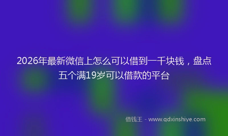 2026年最新微信上怎么可以借到一千块钱，盘点五个满19岁可以借款的平台