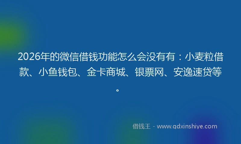 2026年的微信借钱功能怎么会没有有：小麦粒借款、小鱼钱包、金卡商城、银票网、安逸速贷等。