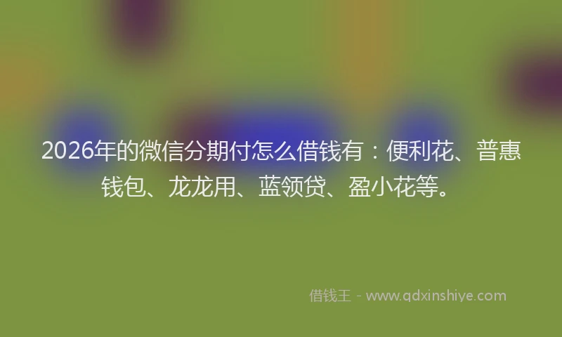2026年的微信分期付怎么借钱有：便利花、普惠钱包、龙龙用、蓝领贷、盈小花等。