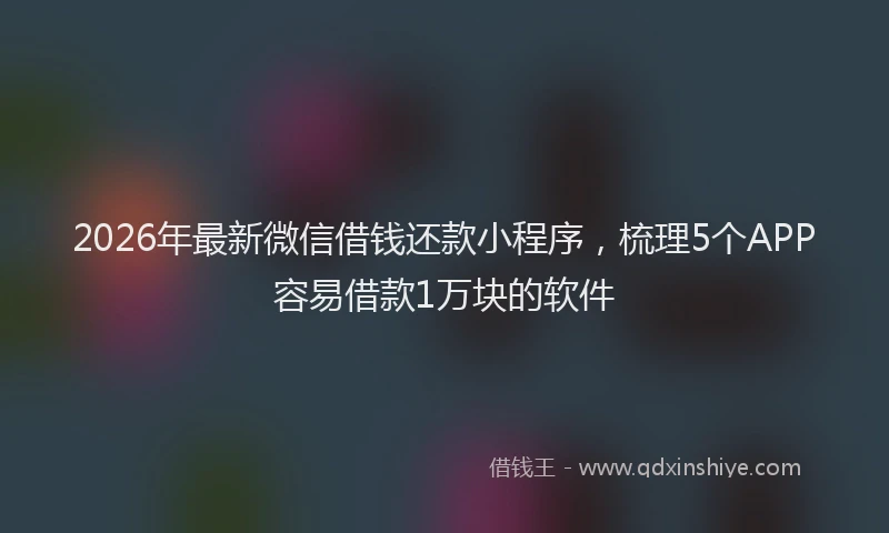 2026年最新微信借钱还款小程序，梳理5个APP容易借款1万块的软件