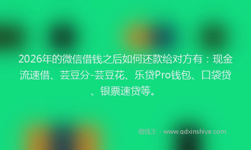 2026年的微信借钱之后如何还款给对方有：现金流速借、芸豆分-芸豆花、乐贷Pro钱包、口袋贷、银票速贷等。