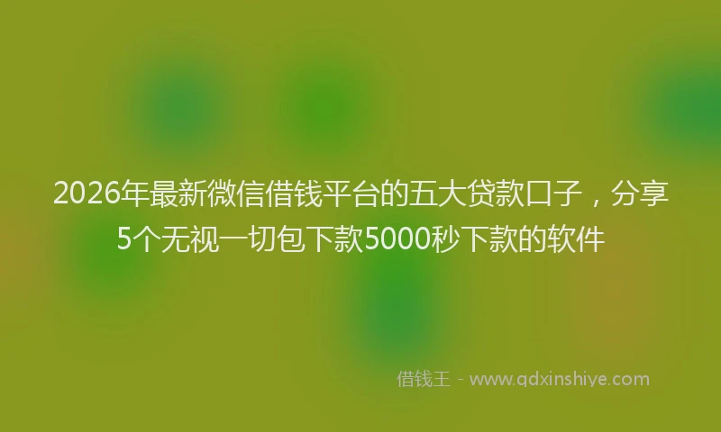 2026年最新微信借钱平台的五大贷款口子，分享5个无视一切包下款5000秒下款的软件